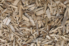 biomass boilers Dragonby